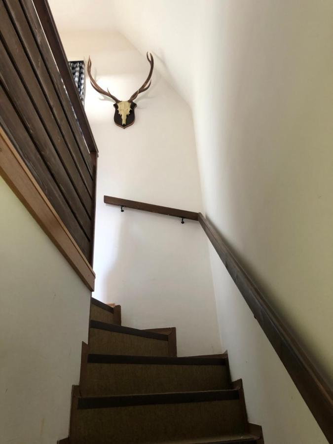 Villa Haus Max Bad Mitterndorf Esterno foto